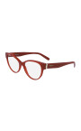 lunettes-elegantes