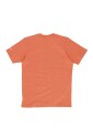 desert-valley-graphic-tee-menand-39-s-t-shirt