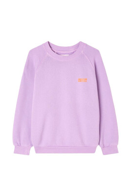 vintage-sweatshirt-kizu03be-izubird