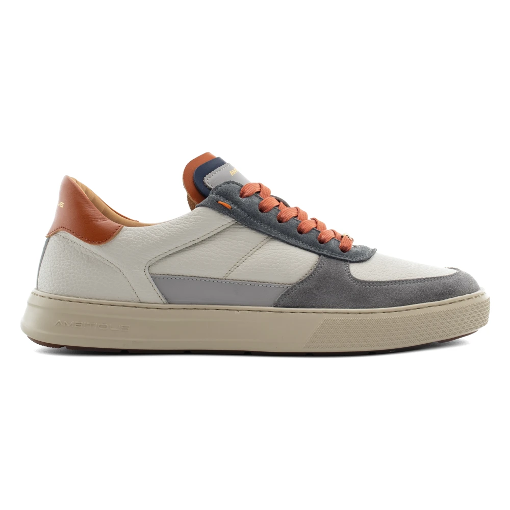Ambitious Anopolis Panel Sneaker Heren Schoenen Veelkleurig Multicolor
