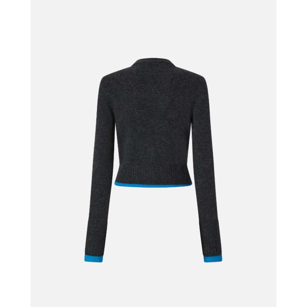 pinko Korte Cashmere Vest met V-Hals Gray Dames