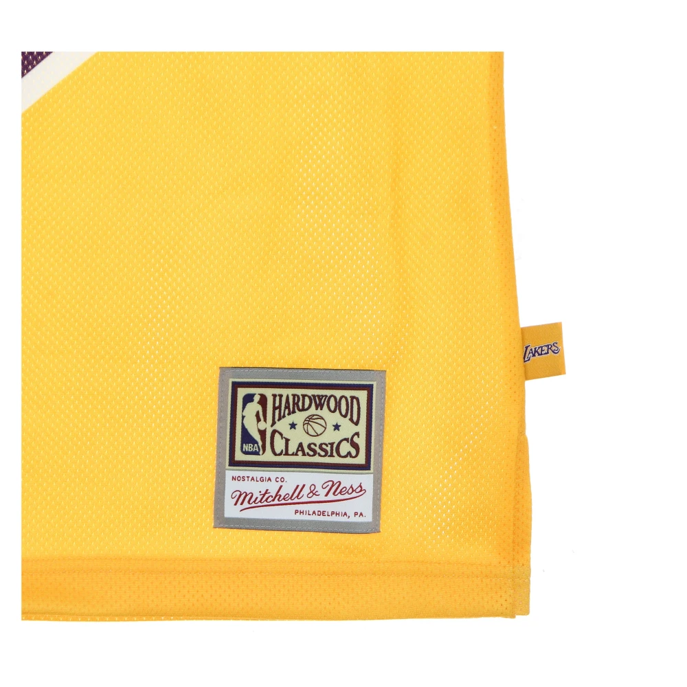 Mitchell & Ness NBA Lakers Basketbal Tanktop Multicolor Heren