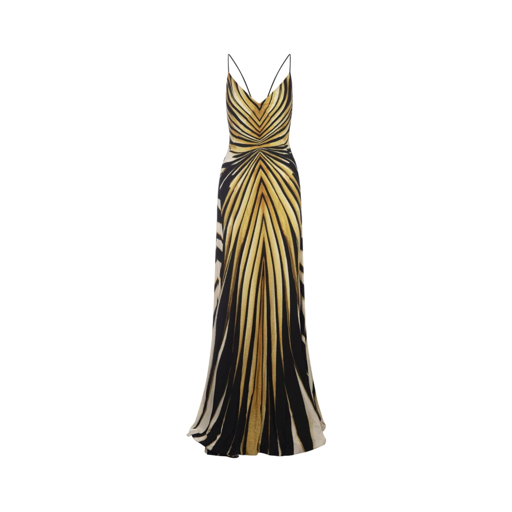 Roberto Cavalli Gouden Ray Of Gold Zijden Jurk Multicolor Dames
