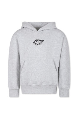 grey-fleece-cotton-hoodie-with-logo