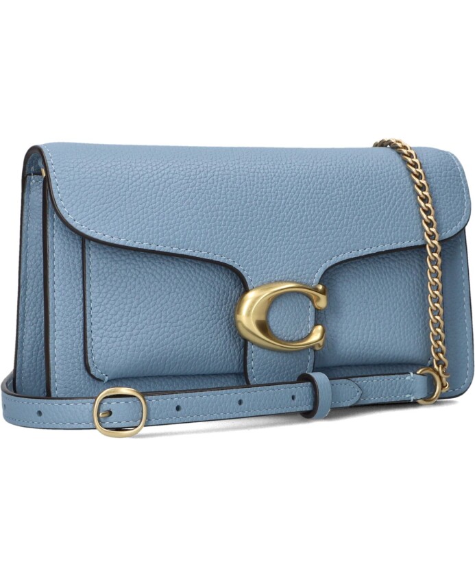 elegante-tabby-chain-clutch