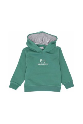 logo-hoodie