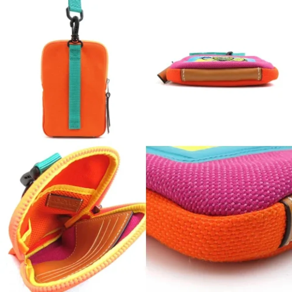 Loewe Pre-owned Fabric pouches Multicolor Dames
