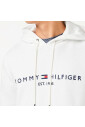 embroidered-tommy-logo-hoodie