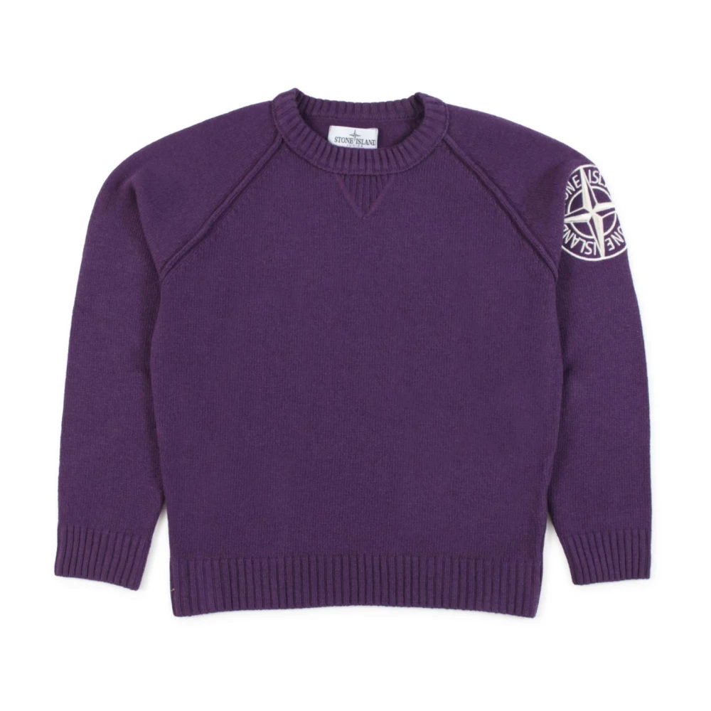 Stone Island Stickade kläder, Wool and Cashmere Choke Sweater Purple, Pojke