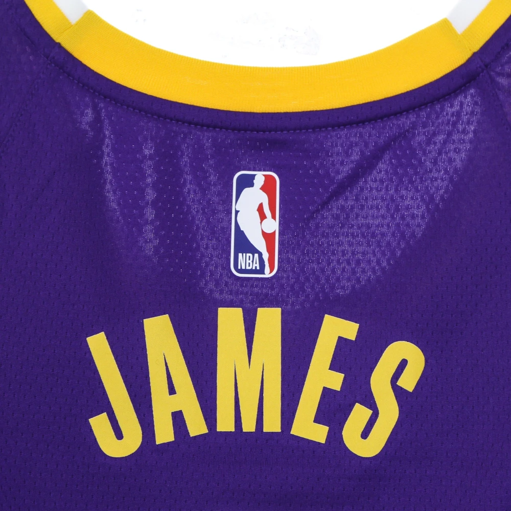 Jordan LeBron James Basketball Tank Top Purple Heren