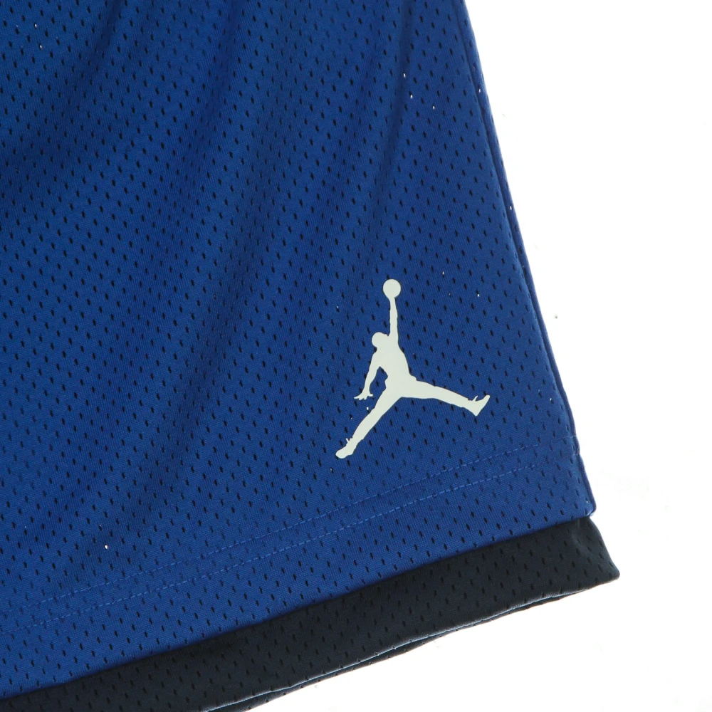 Jordan Hybride Sportshorts met Mesh Stof Blue Heren
