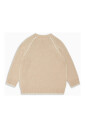 pull-intarsia-aigle