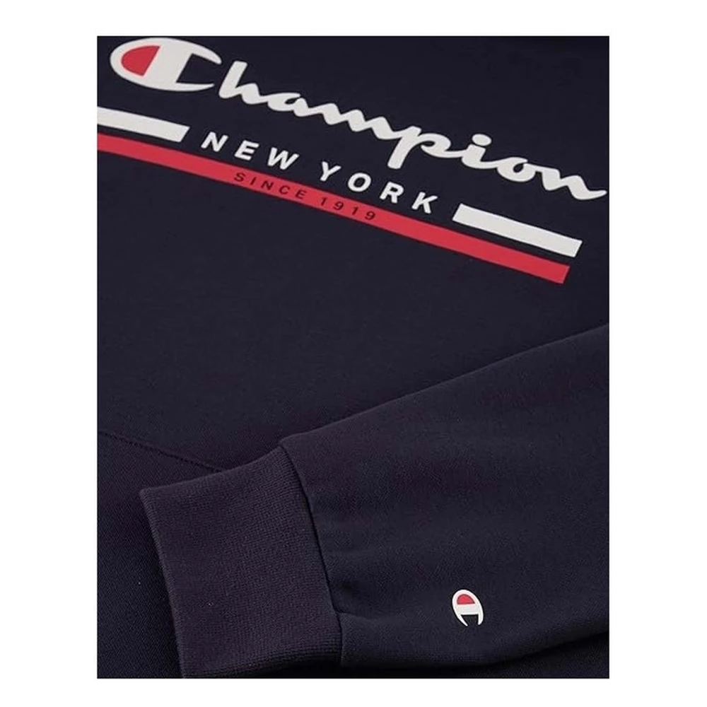 Champion Hoodie Blue Heren