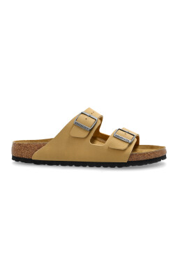 arizona-bs-slides