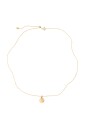 collier-aspen