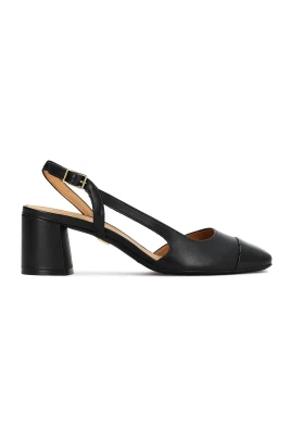 Gaura Pumps