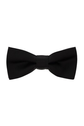 papillon-en-soie