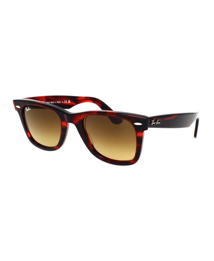 classic-wayfarer-sunglasses