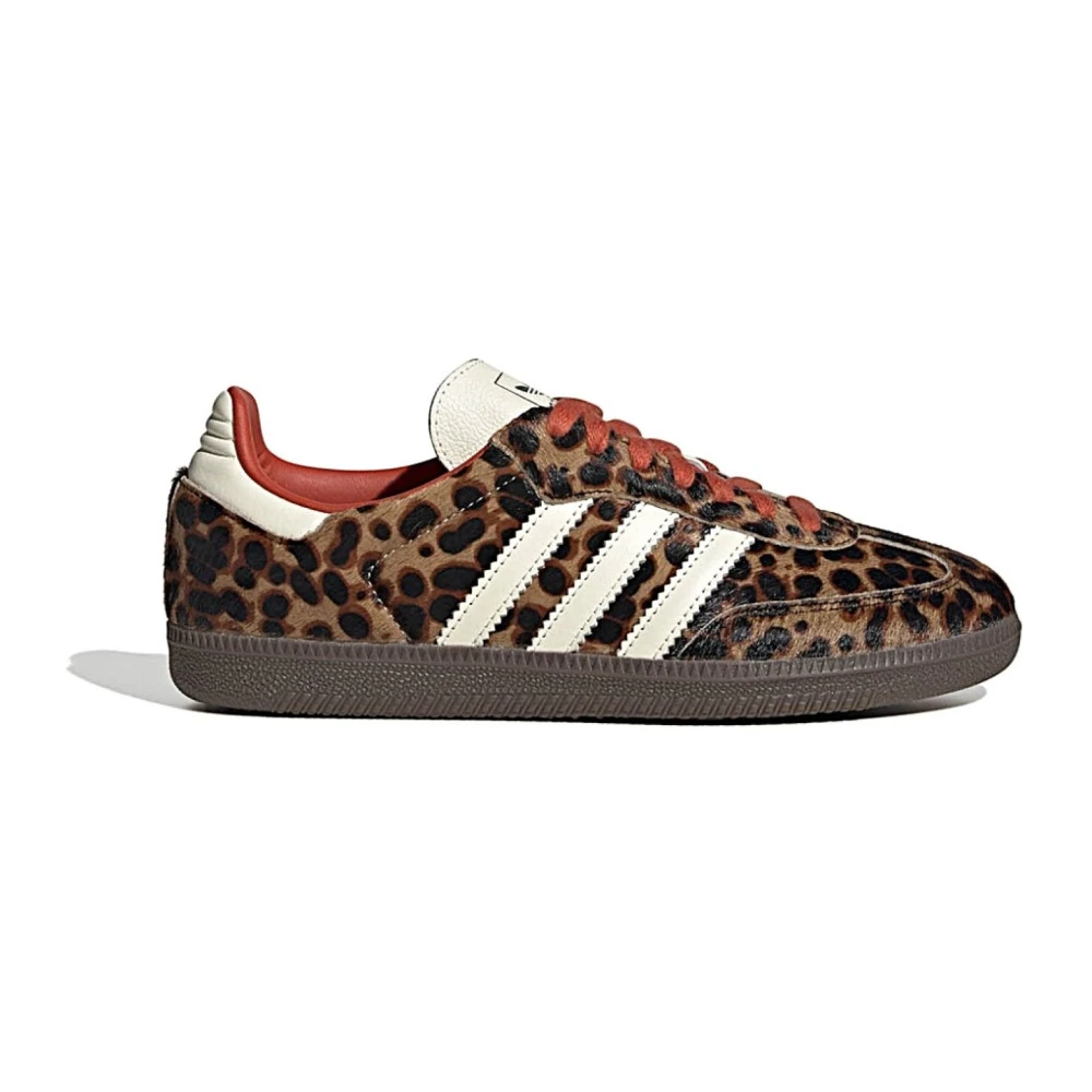 Adidas Originals Uomo Marrone - Sneakers - Shoes - 45 1/2 Eu