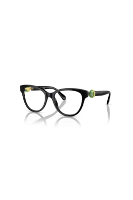 SK2004 Optical Frame