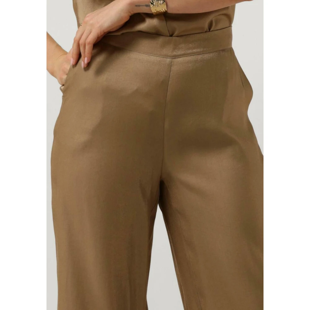 Aaiko Glanzende Wijde Broek Green Dames