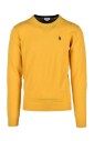 maglia