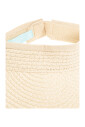 visor