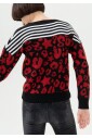imprime-animal-raye-col-rond-multicolore-haut