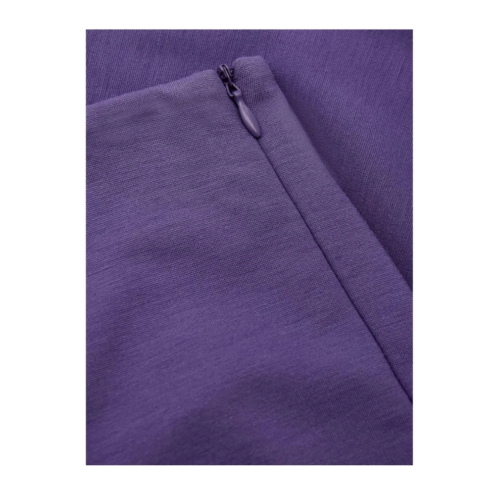 Lardini Paarse Viscose Jeans Pant Purple Dames