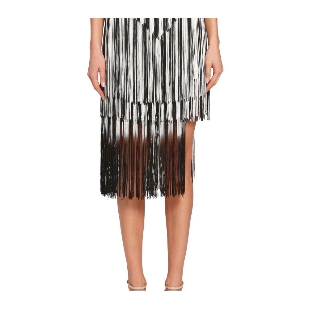 Roberto Cavalli Zebra Avantgarde Franje Rok Multicolor Dames