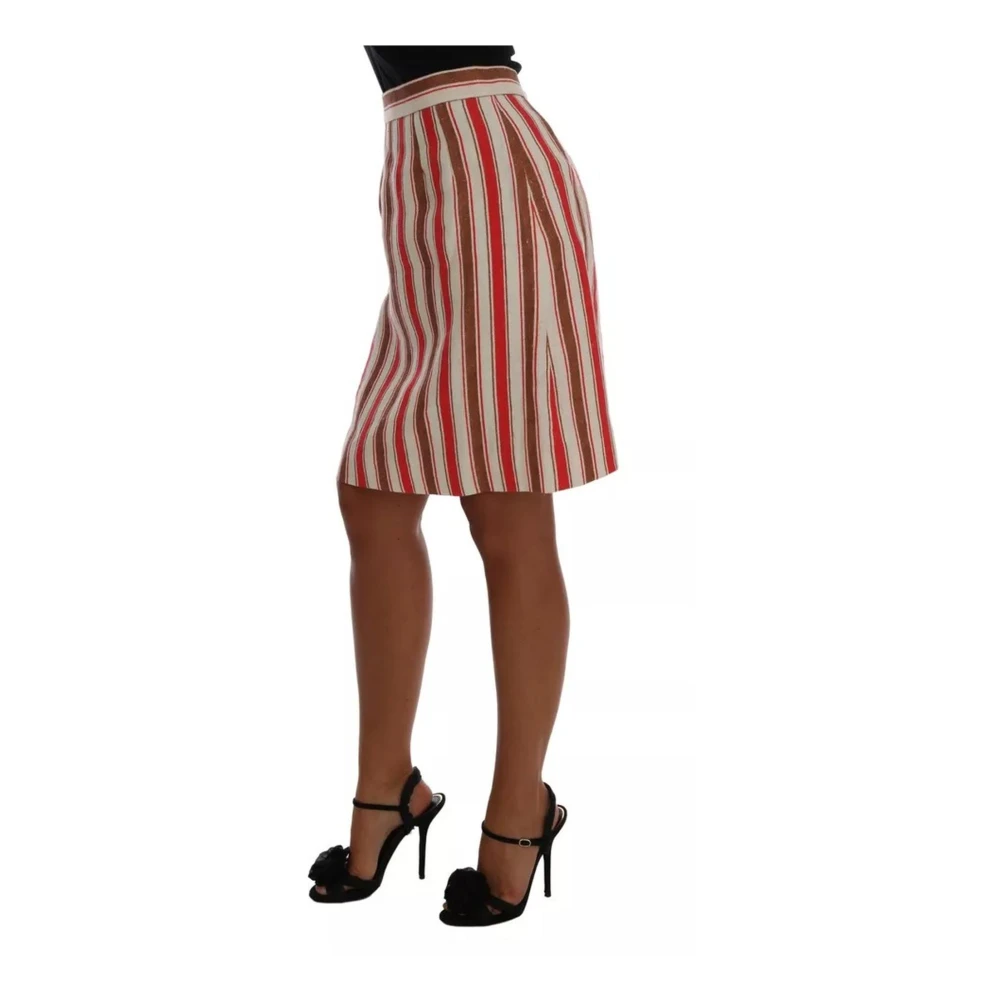 Dolce & Gabbana Multicolor Gestreepte Minirok Verticale Streep Multicolor Dames