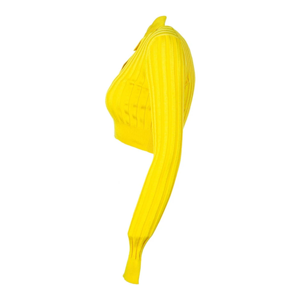 Dolce & Gabbana Korte Polo Hals Jumper voor Vrouwen Yellow Dames