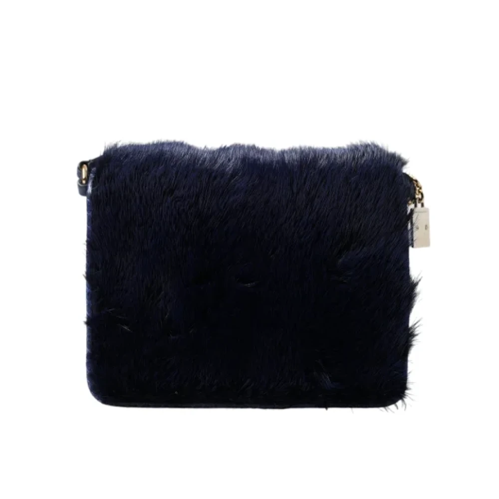 Dolce & Gabbana Pre-owned Leather shoulder-bags Blue Dames
