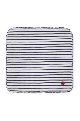 striped-muslin-with-embroidered-profiles
