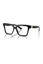 dg3395-501-optical-frame