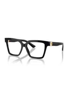dg3395-501-optical-frame
