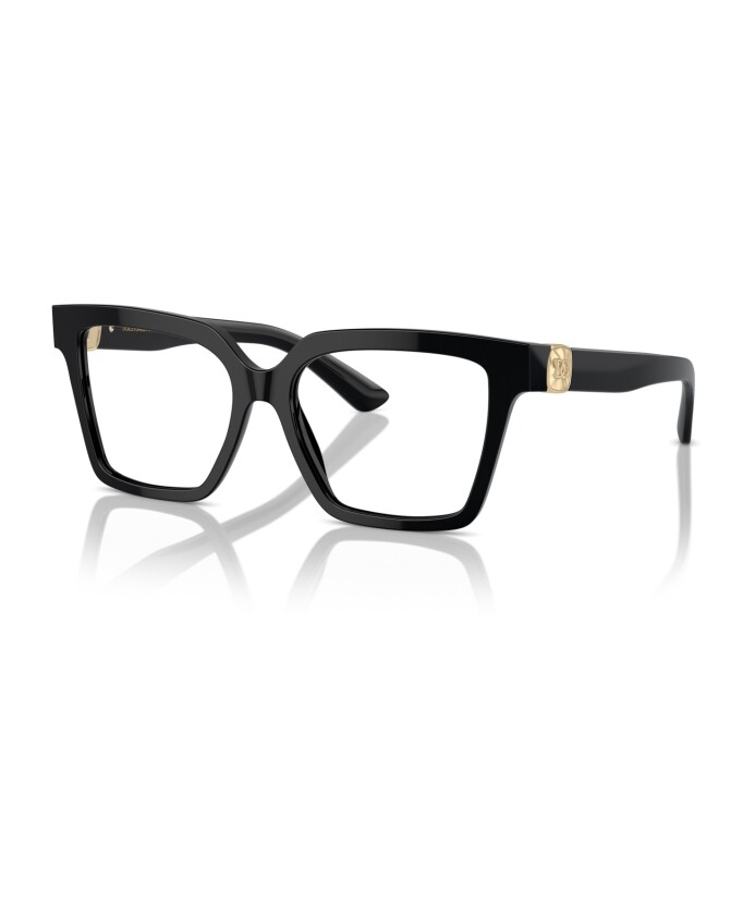 dg3395-501-optical-frame