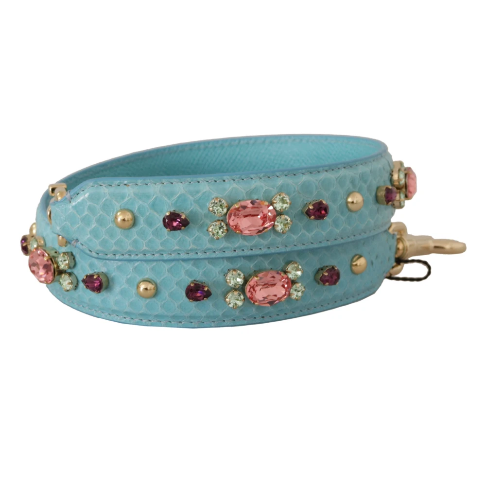 Dolce & Gabbana Lichtblauwe Leren Schoudertasriem Blue Dames