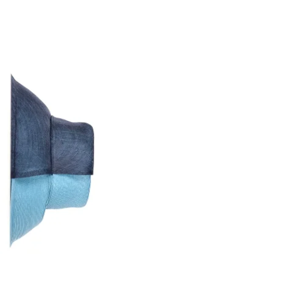 Dior Vintage Pre-owned Raffia hats Blue Dames