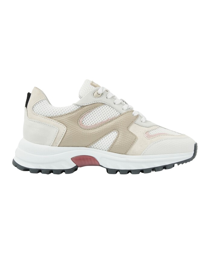 danae-noelle-sneakers
