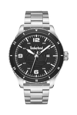 gray-stainless-steel-analog-watch-with-day-function