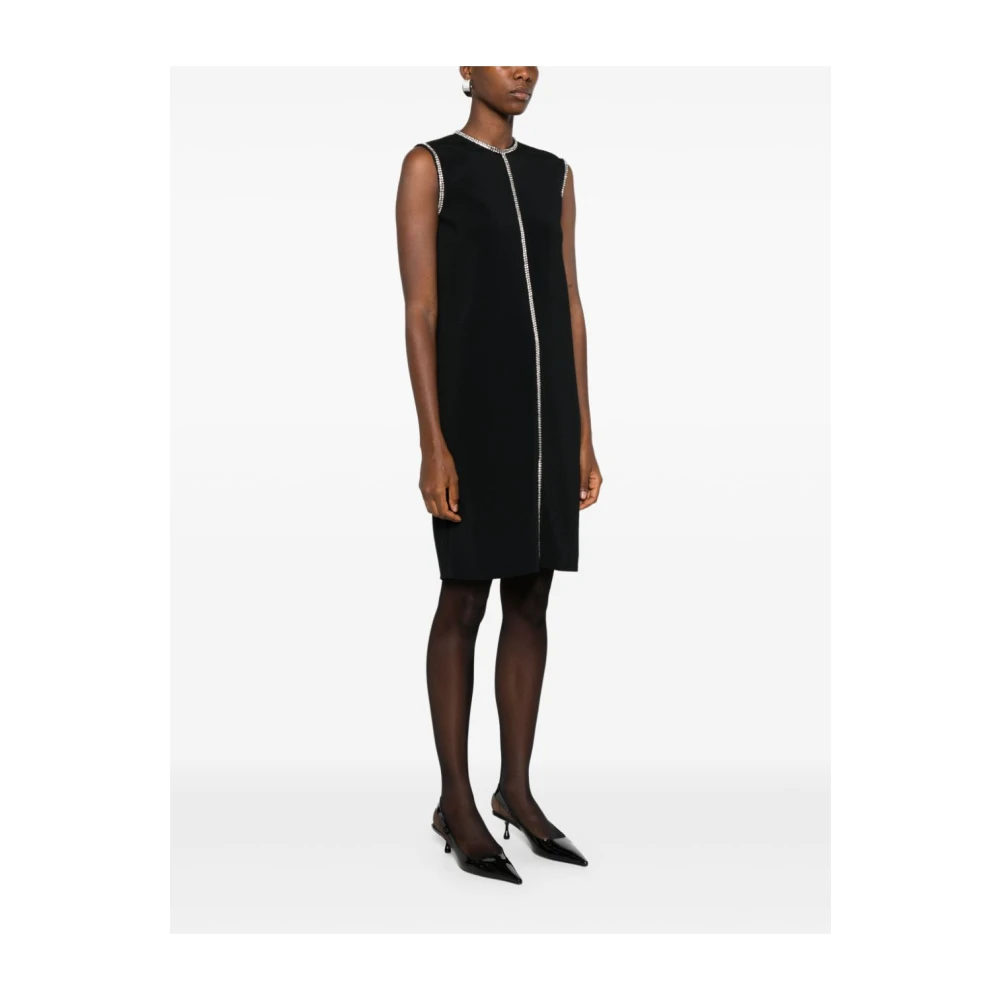 SPORTMAX Zwarte Ronde Hals Mouwloze Jurk Black Dames