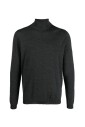 pull-en-tricot-a-col-roule-botanique