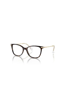 SK2010 Optical Frame