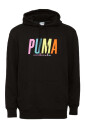 sw-graphic-hoodie