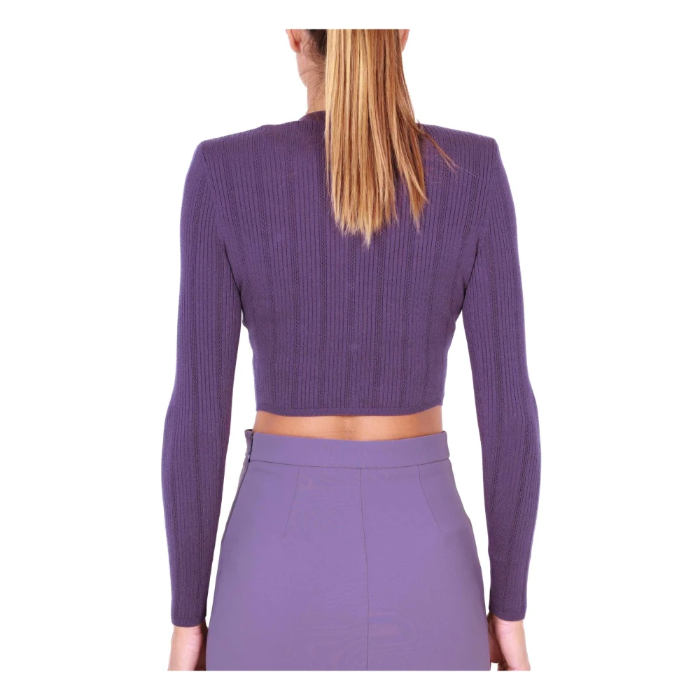 Elisabetta Franchi Korte Ribgebreide Vest Pruim Purple Dames