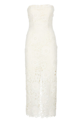 elegant-lace-boat-neck-dress