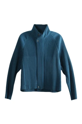 Tailored Pleats 1 Blouson