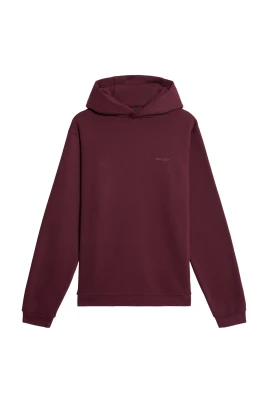 Logo Brushback Pullover Hoodie