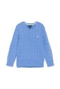 blue-sweater-with-pony-motif